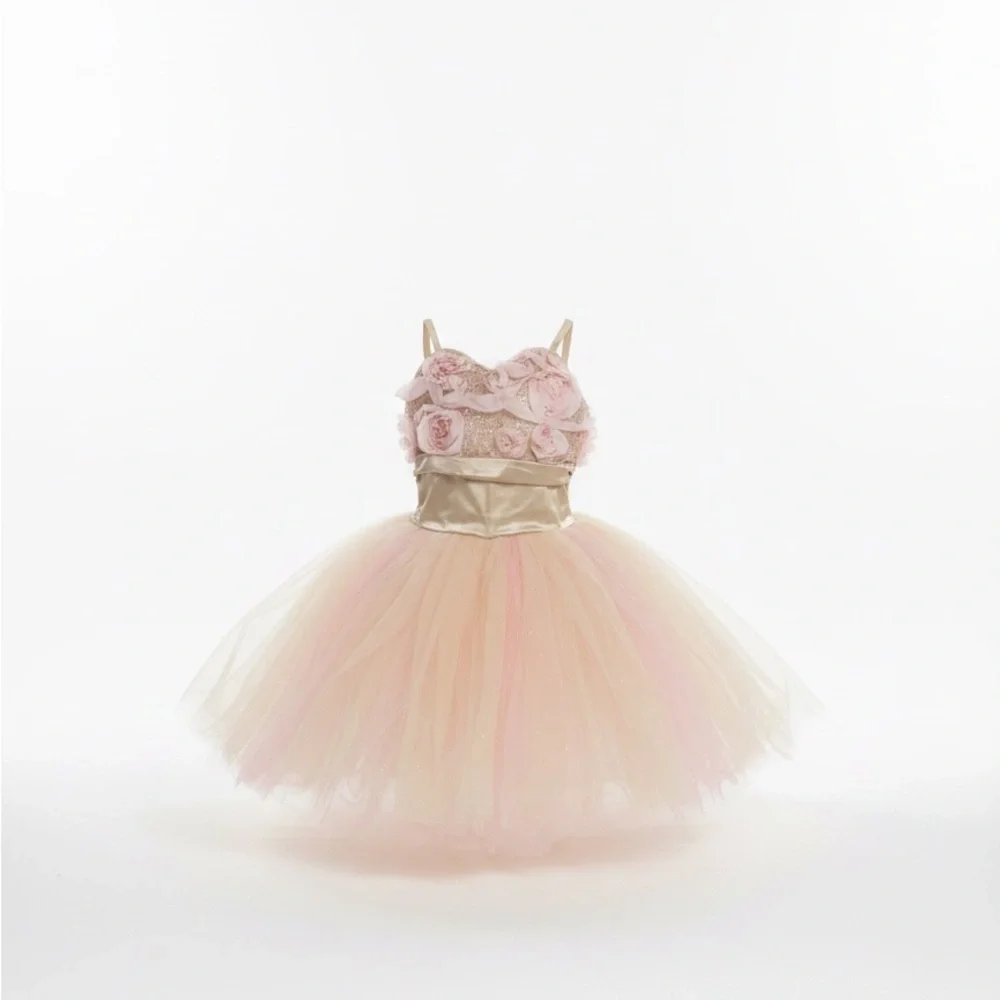Weissman Pink and Gold Rosette Tulle Dance Costume IC